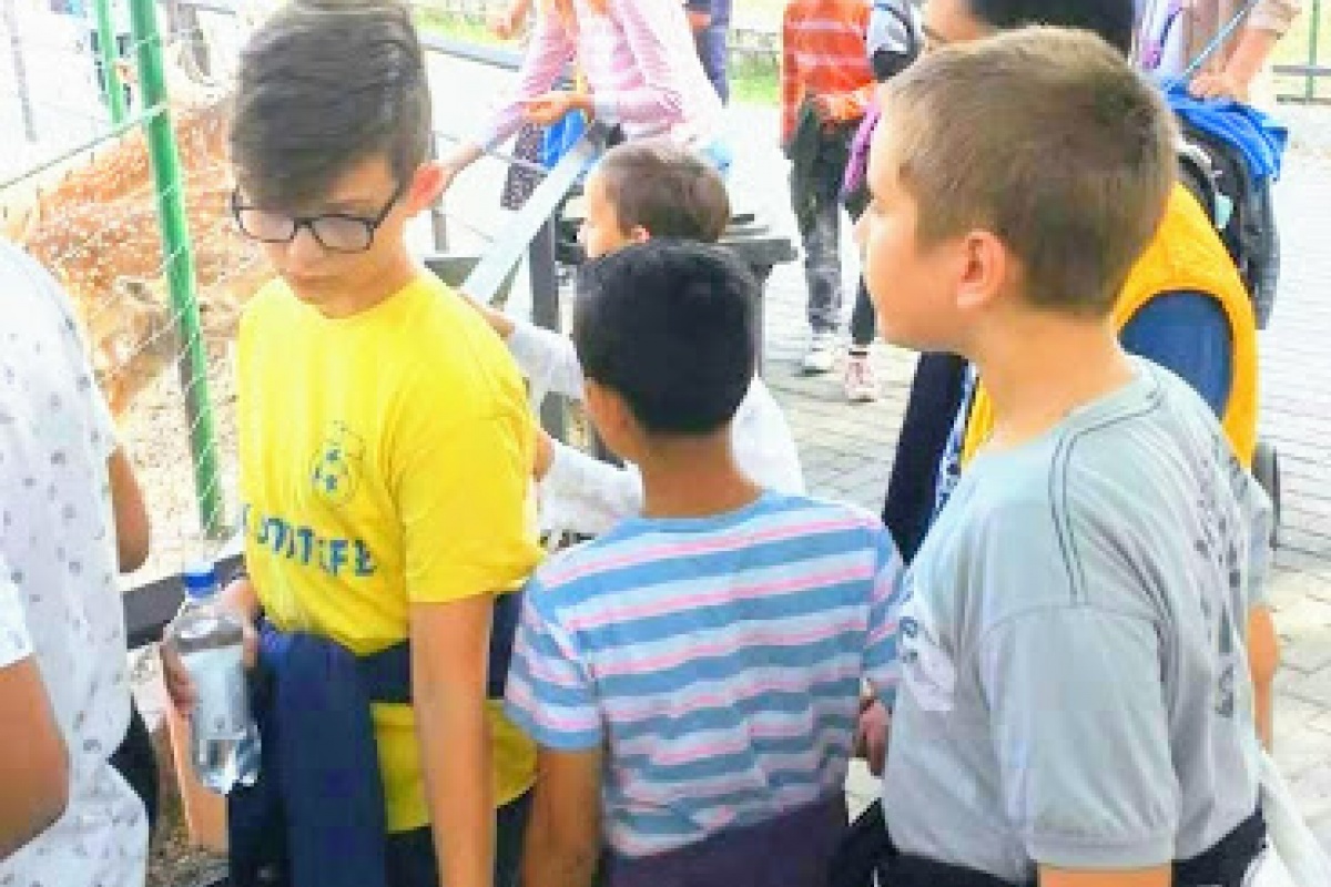 Од посетата во зоолошката во 2018 год.