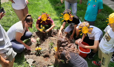 Пролетно уредување на дворот