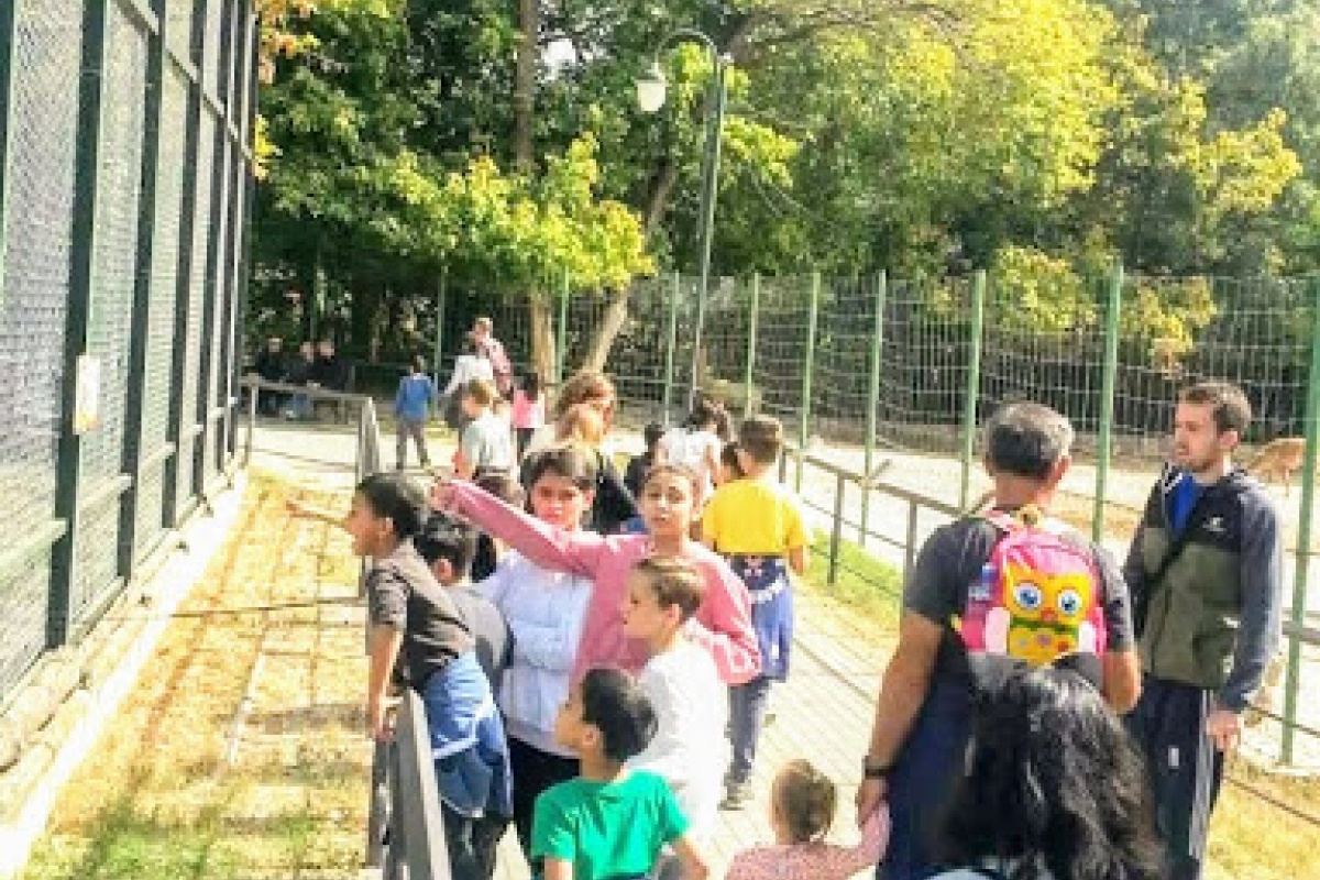 Посетата на скопската зоолошка во 2018 год.
